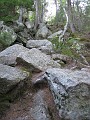 Mt Cardigan NH 2010 0150